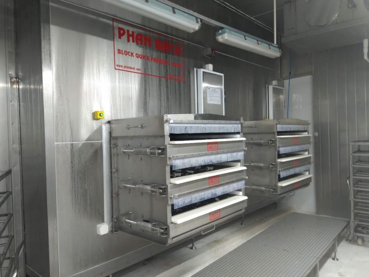 Block Quick Freezer 8