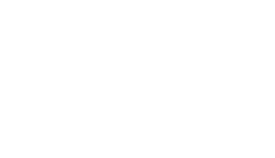 Pesi